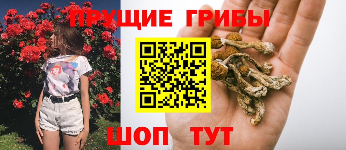 Галлюциногенные грибы ЛСД  Вход с VPN  Нефтекамск 